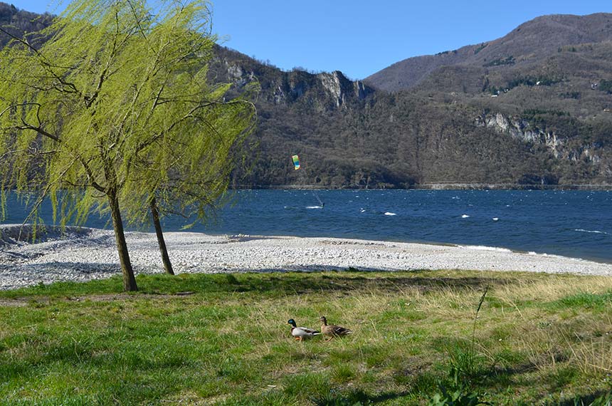 Balneabilità dei laghi: ecco i risultati degli ultimi campionamenti
