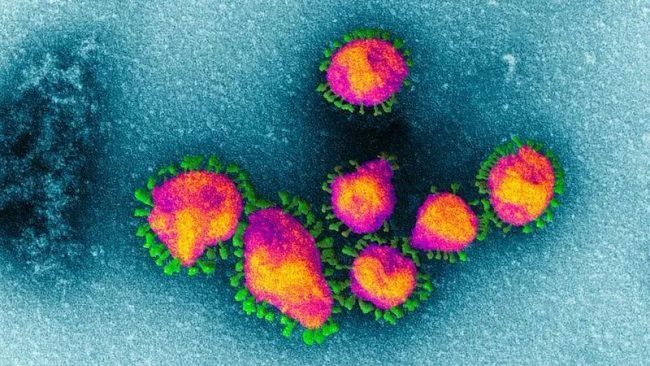 Coronavirus, studenti meratesi messi in quarantena
