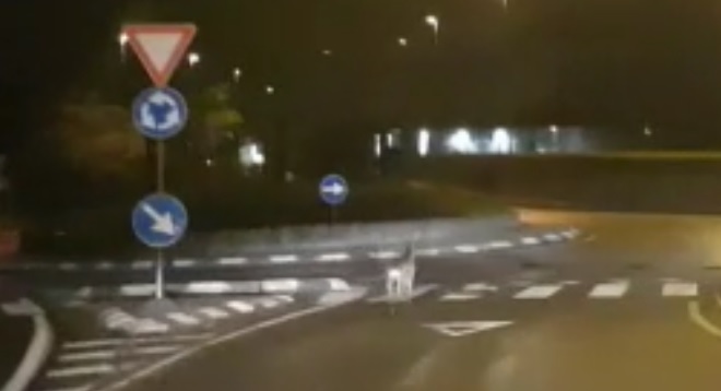 Daino in fuga tra le auto IL VIDEO
