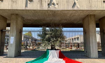 Pianta d'ulivo e bandiera tricolore all'ingresso del cimitero