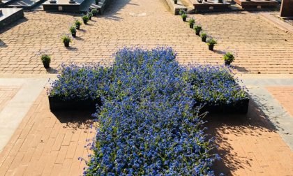 Una croce di fiori blu al cimitero per Pasqua - FOTO