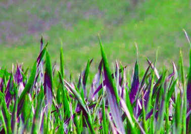 Doppia apertura straordinaria della piattaforma ecologica