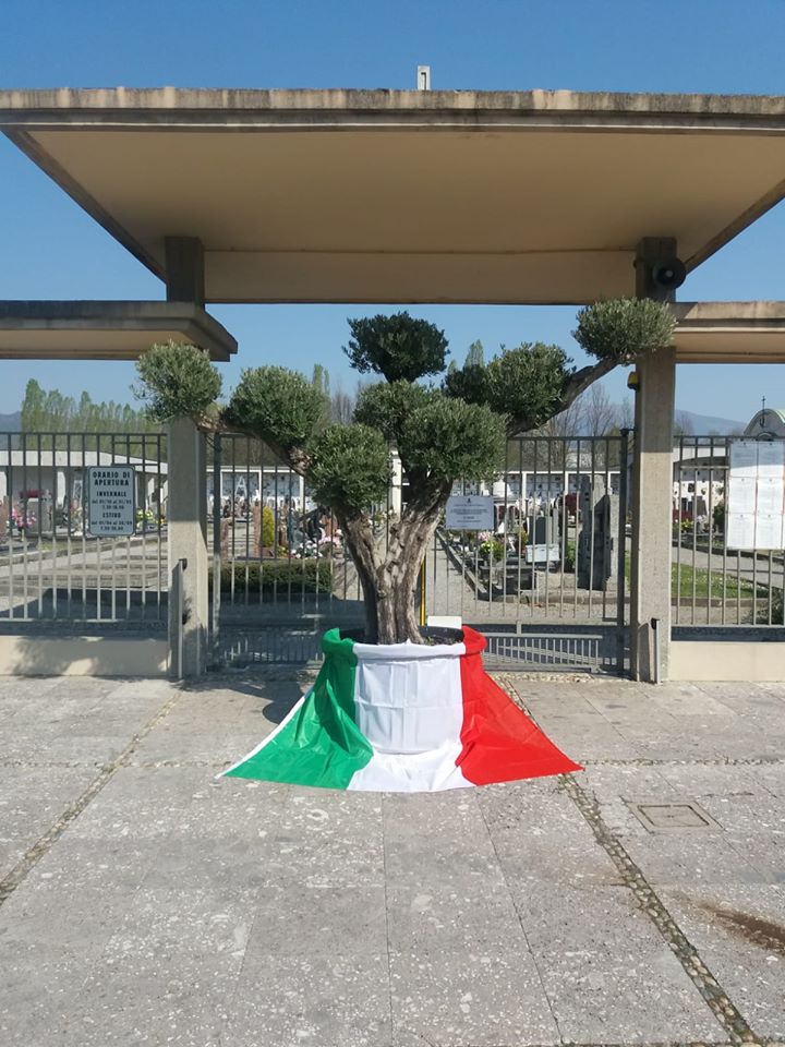 Una pianta di ulivo per tutti i defunti