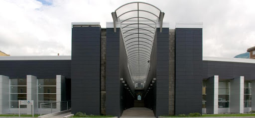 «Cara Cciaa, se ci sei batti un colpo»