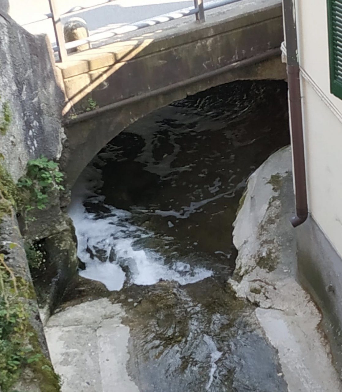 Uno sversamento di schiuma bianca e sostanze inquinanti nel torrente Molgora