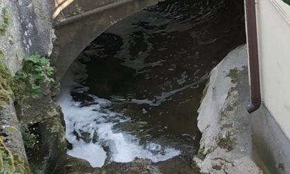 Uno sversamento di schiuma bianca e sostanze inquinanti nel torrente Molgora