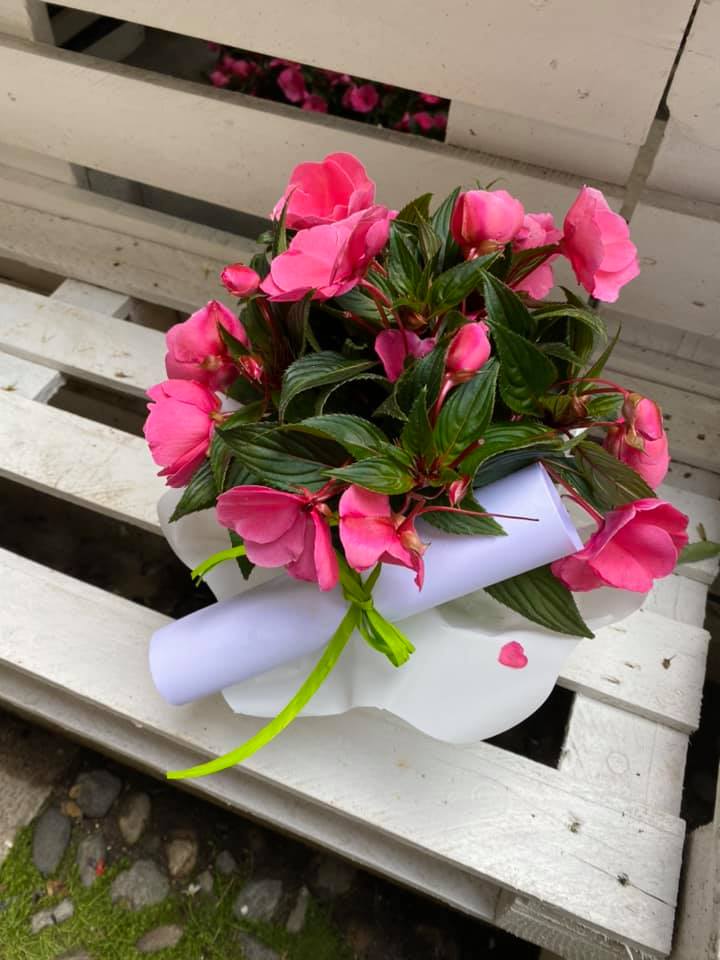 Il gesto del sindaco: un fiore per ogni infermiere della casa di riposo