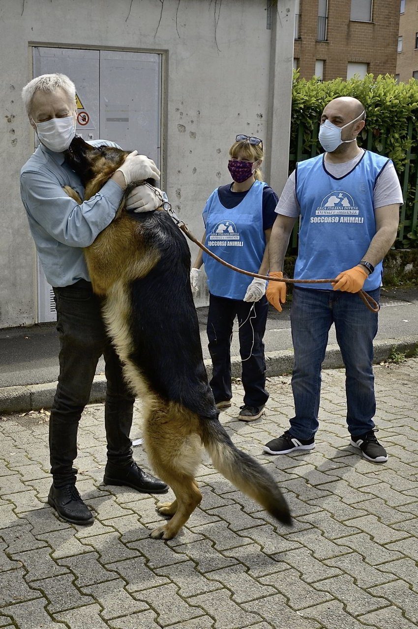 Il cane incontra i padroni usciti dall’ospedale dopo aver sconfitto il Coronavirus: che emozione! VIDEO