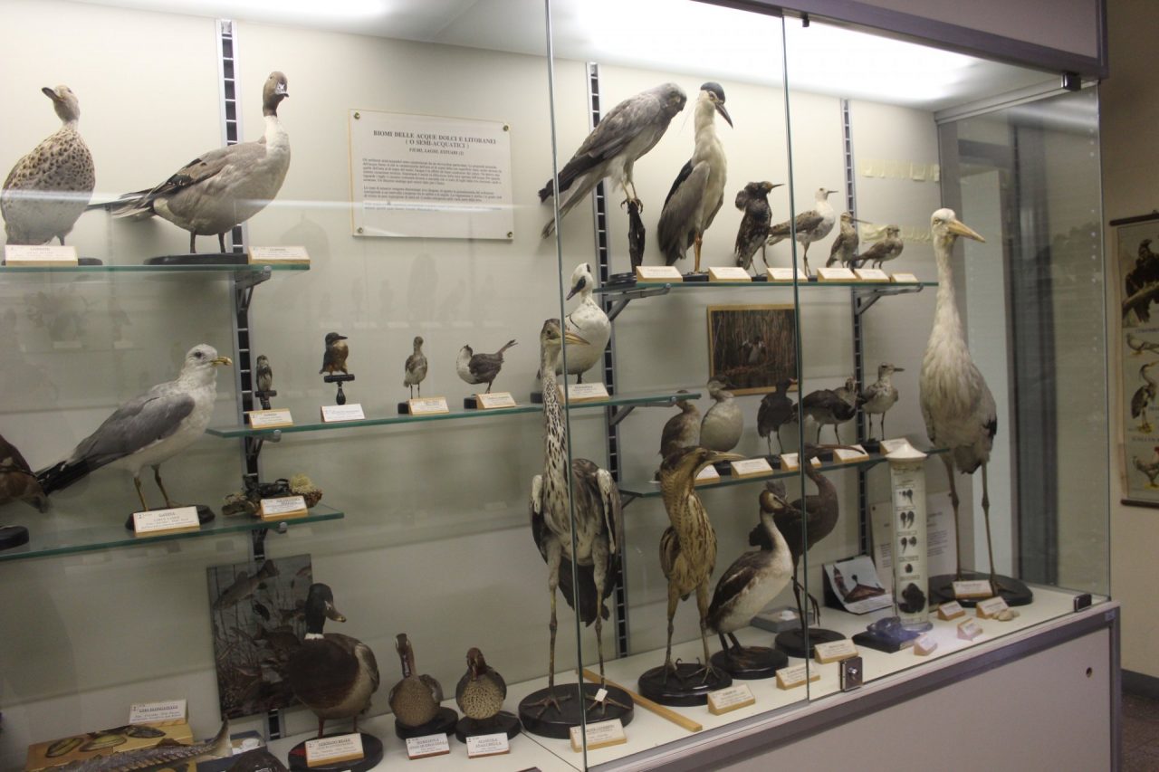 Al via Contagiamoci di Cultura: online tour virtuali nei musei, concerti, lezioni di astronomia e molto altro ancora