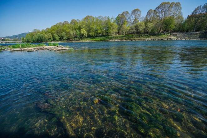 Le acque del Po limpide per cause naturali (e non in conseguenza del lockdown)