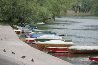 Vigili, telecamere e controlli targhe: occhio a fare i furbi nel weekend lungo l’Adda