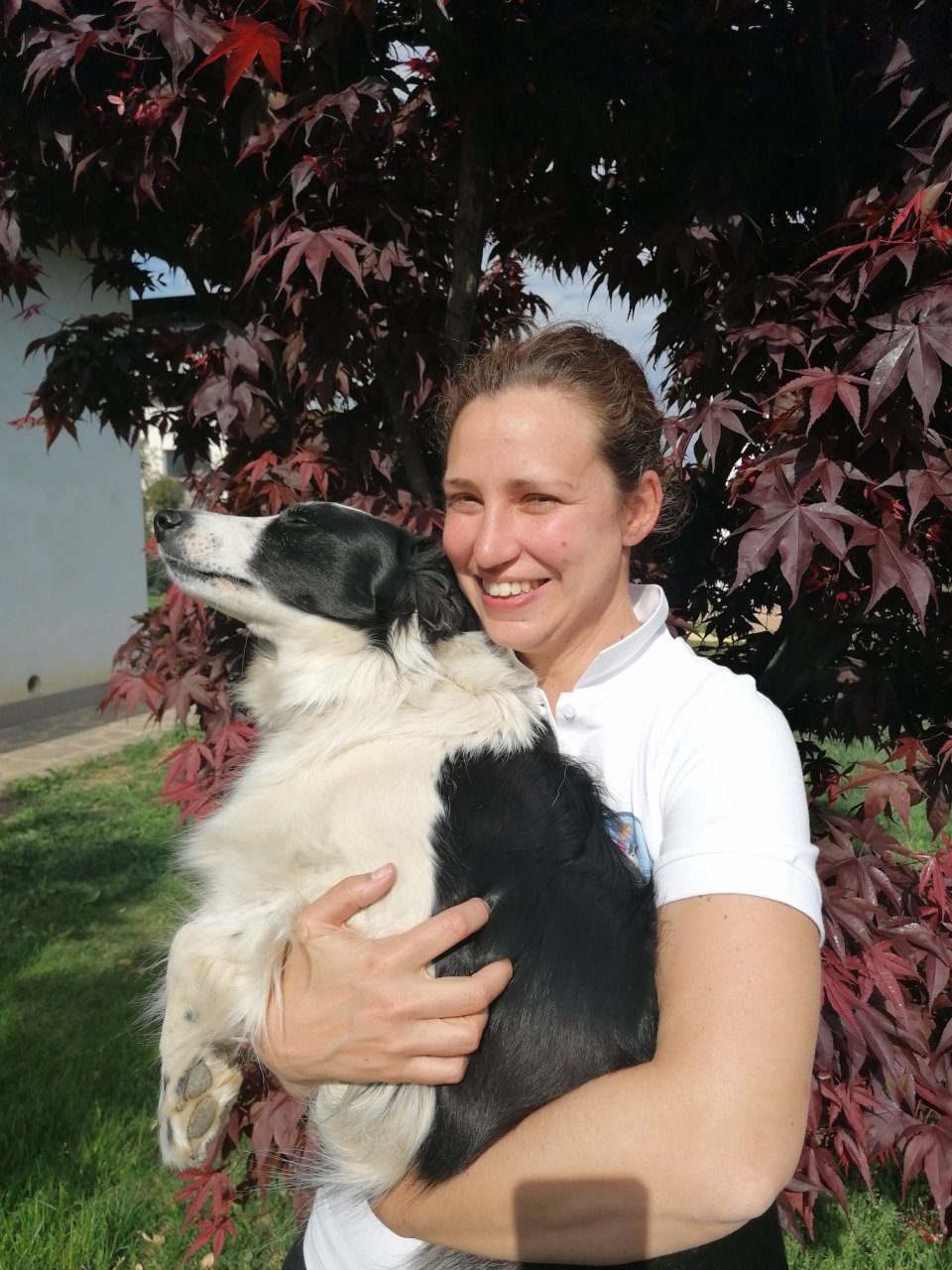 Anche i cani soffrono di stress: a Merate c’è chi se ne prende cura