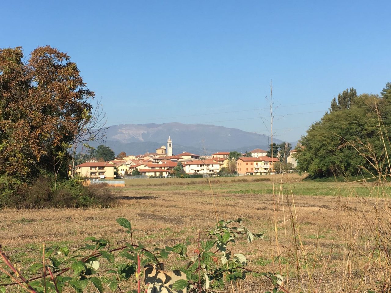 Medolago, le nuove disposizioni per la riapertura