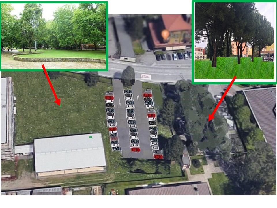 Viale Verdi, nasce una petizione per salvare gli alberi