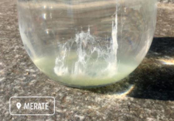 Tutti pazzi per la barca di San Pietro