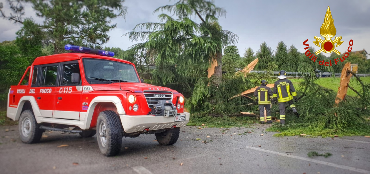 Albero di 20 metri esplode dopo essere stato colpito da un fulmine FOTO