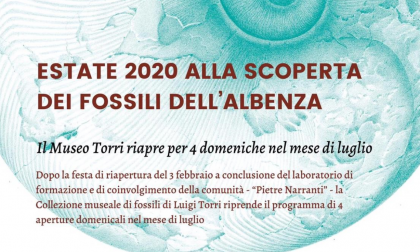 Museo Torri: alla scoperta dei fossili dell'Albenza