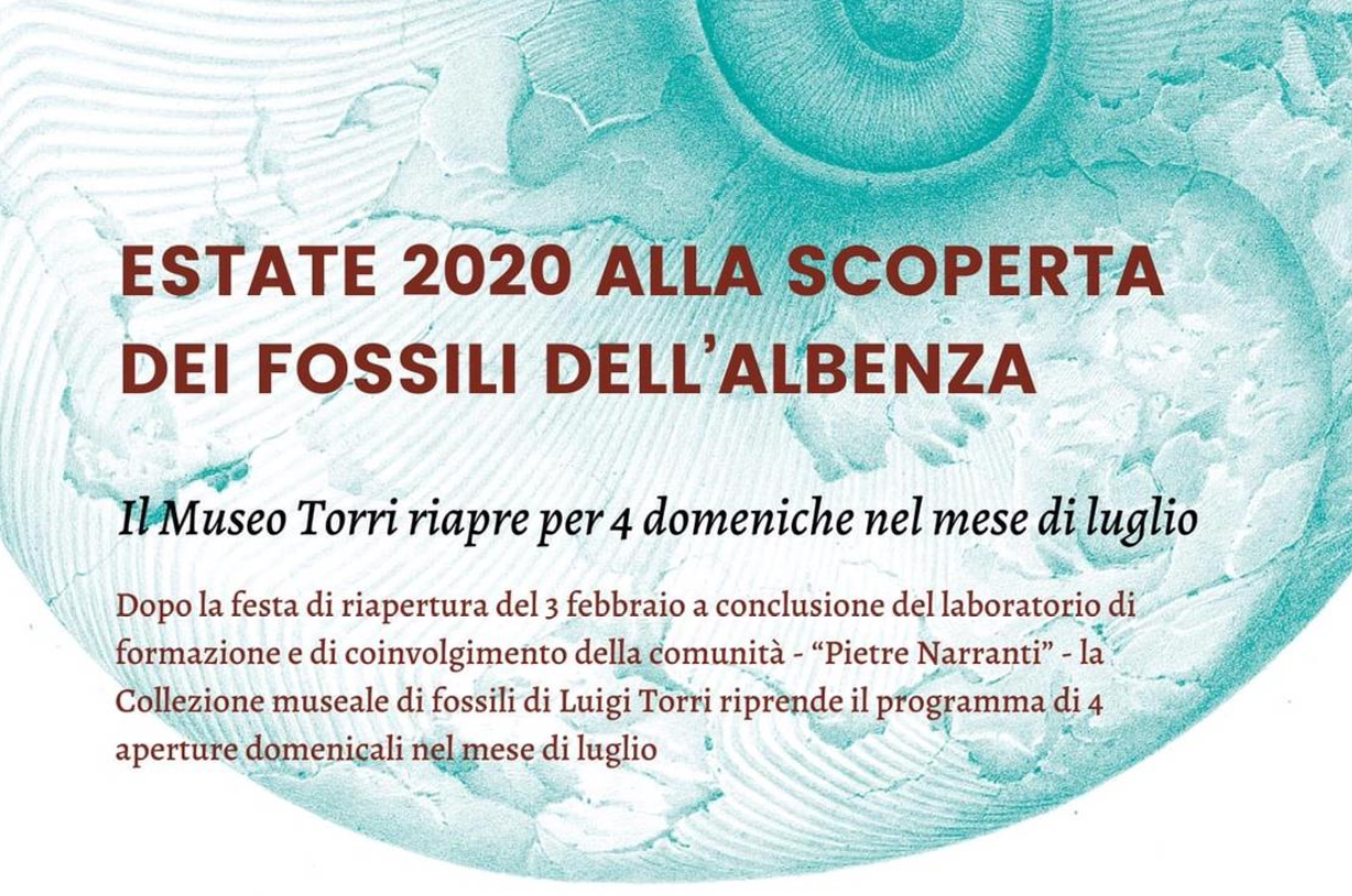 Museo Torri: alla scoperta dei fossili dell’Albenza