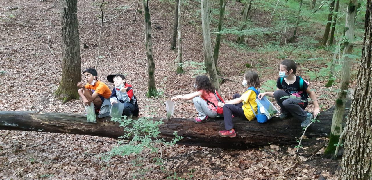 Parco  di Montevecchia, è iniziato il centro estivo per bambini FOTO