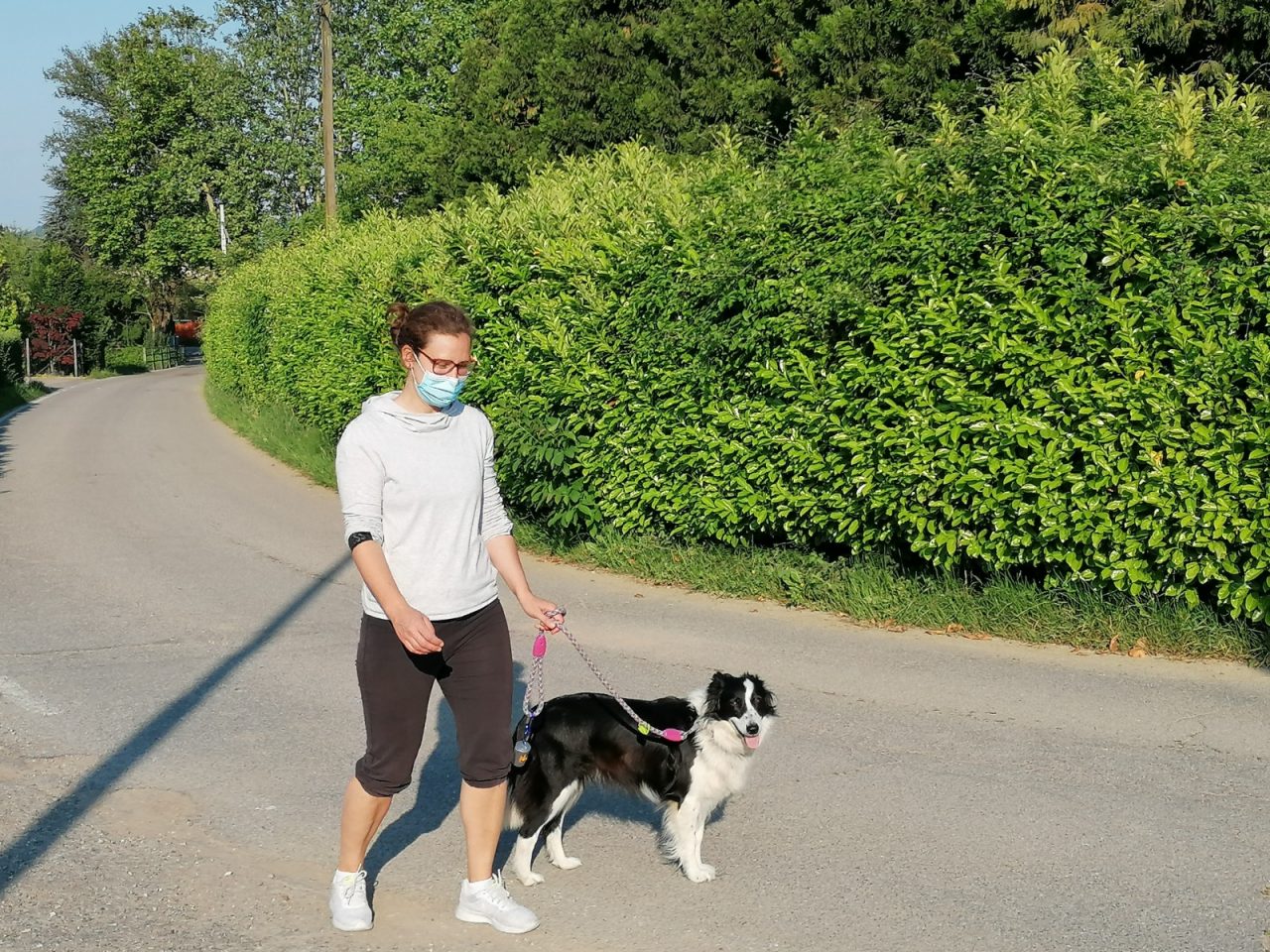 La Fase 3 dei nostri amici animali: va impostata una nuova quotidianità