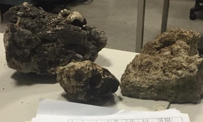 Agente della Polizia locale aggredito a Monza: ecco chi è il responsabile (ancora ricercato)