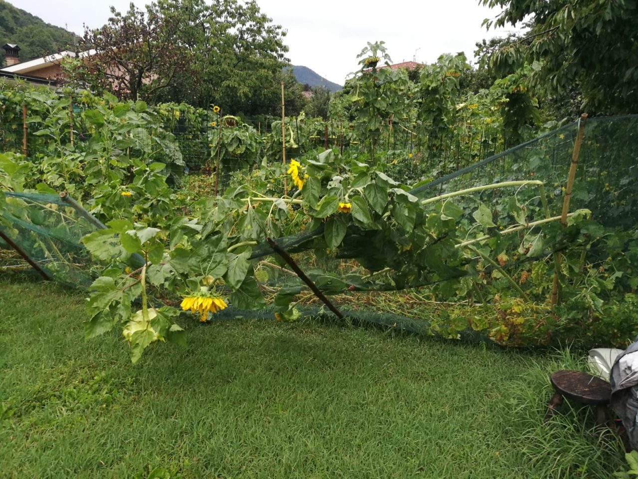 Temperature (fortunatamente) in picchiata: forti temporali sul Lecchese