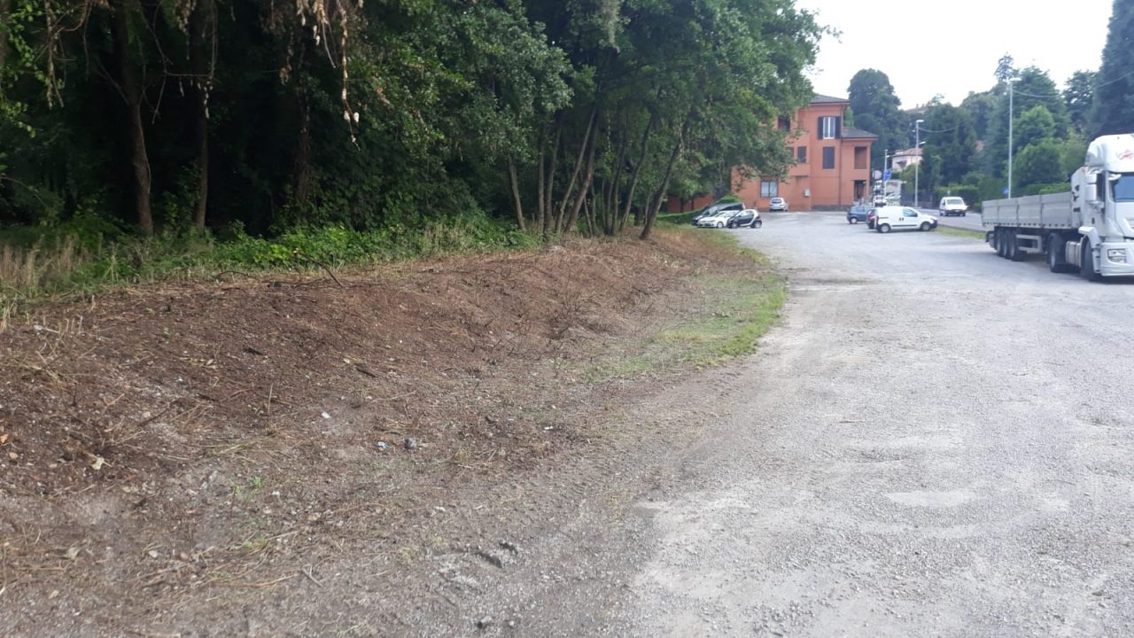 Barzanò: il Controllo del Vicinato ripulisce la zona boschiva vicina al parcheggio di via dei Mille FOTO