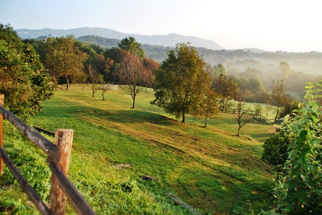 “Estate Verde” prolunga le iscrizioni