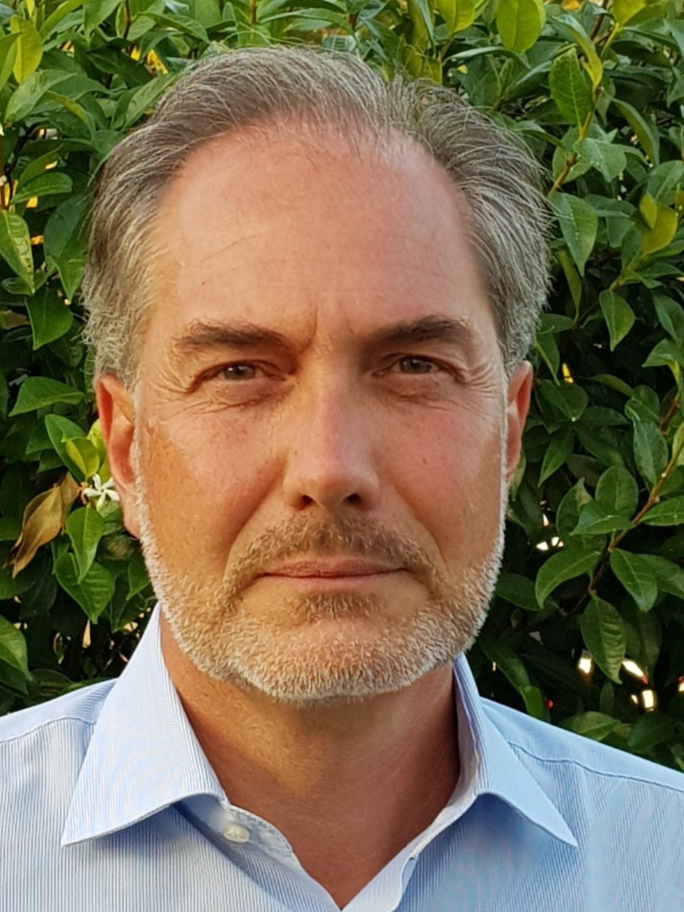 L’appello del sindaco: “Segnalate i problemi in Comune, non online”