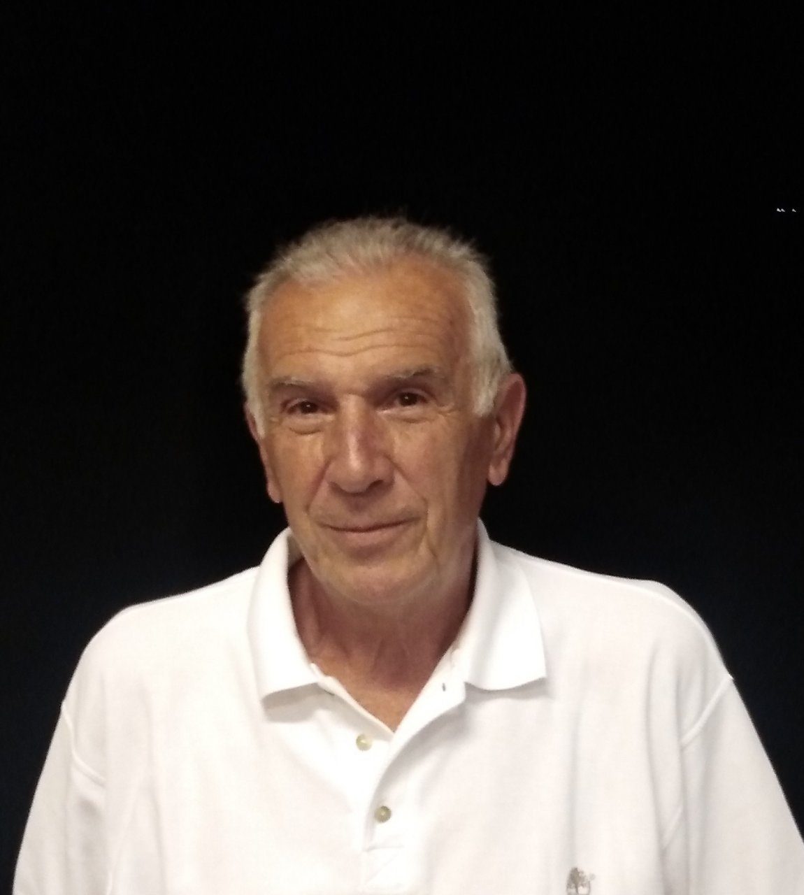 Elezioni comunali 2020 a Calco, ecco la lista di Magni