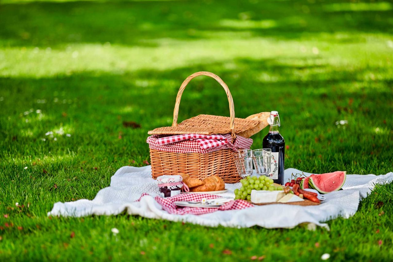 Merate: Progetto Famiglie organizza un picnic al parco con animazione