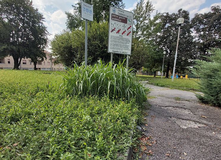 Una “passeggiata” alla scoperta delle problematiche del paese FOTO