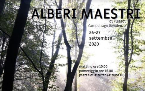 Alberi Maestri: performance itinerante per avvicinarsi al mondo delle piante