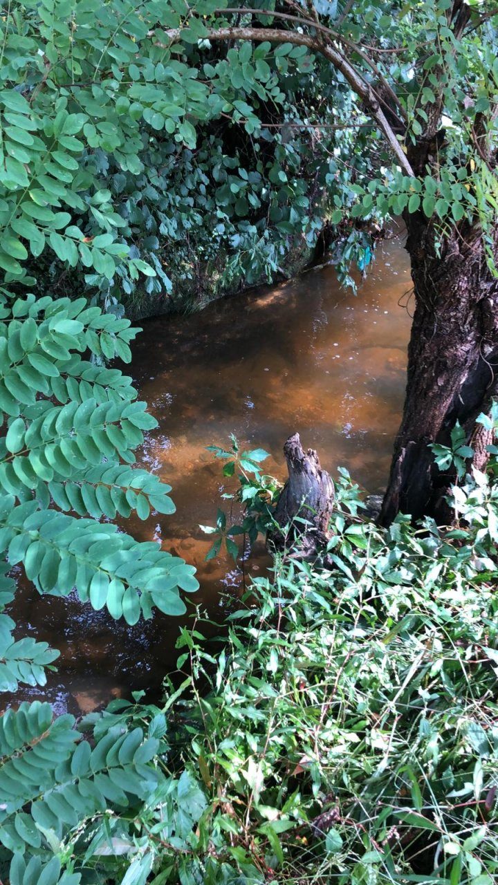Il torrente Bevera si tinge di arancione FOTO