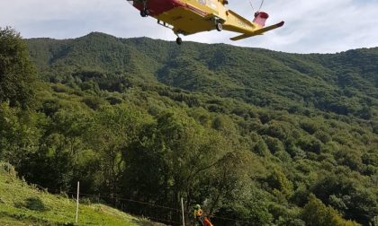 Meratese muore in montagna cercando funghi