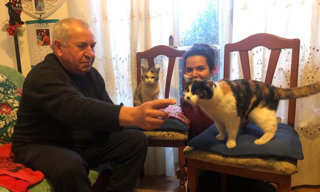 “Lilli” ha compiuto ben 25 anni: è una gatta da record FOTO