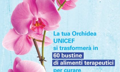 Sirtori, il 26 e il 27 in piazza la raccolta fondi "L'orchidea Unicef per i bambini"