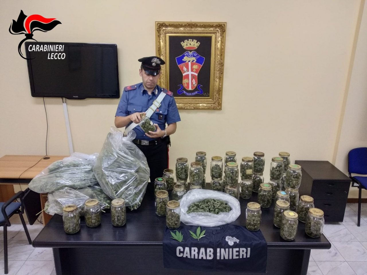 Scovata una piantagione di cannabis a Cernusco: 45enne beccato con 5 chili di droga, arrestato FOTO