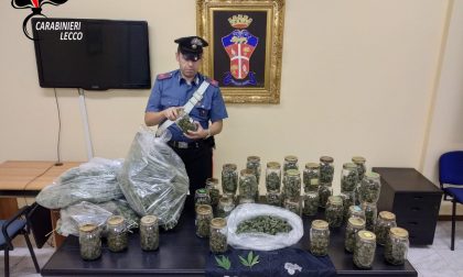 Scovata una piantagione di cannabis a Cernusco: 45enne beccato con 5 chili di droga, arrestato FOTO