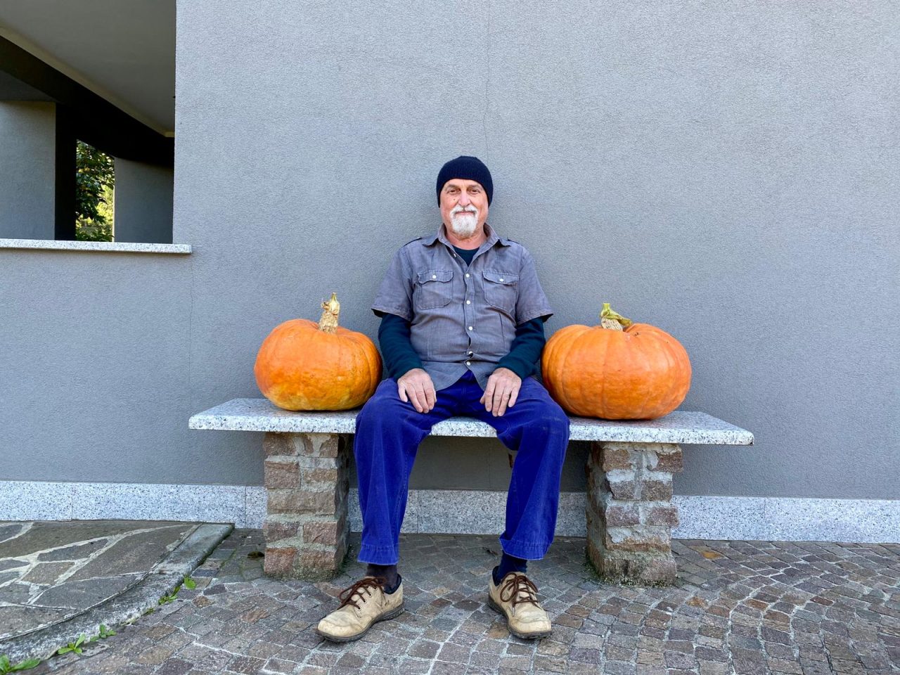 Zucche da record a Pagnano FOTO