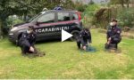 Bracconieri in azione nel Parco del Curone: denunciati dai Carabinieri VIDEO