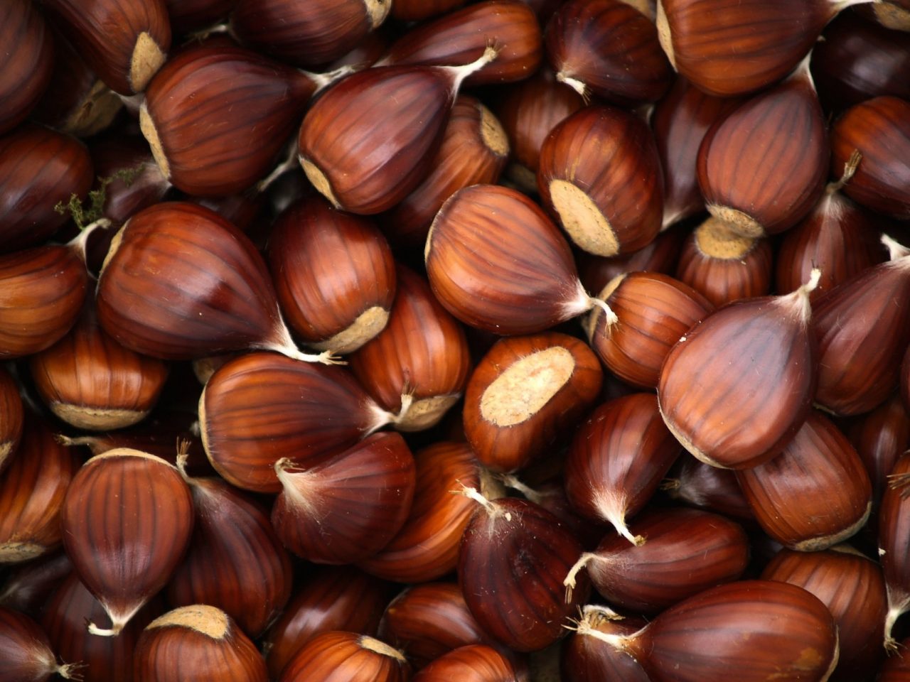 CAI Montevecchia: una castagnata con cena rustica per tutti