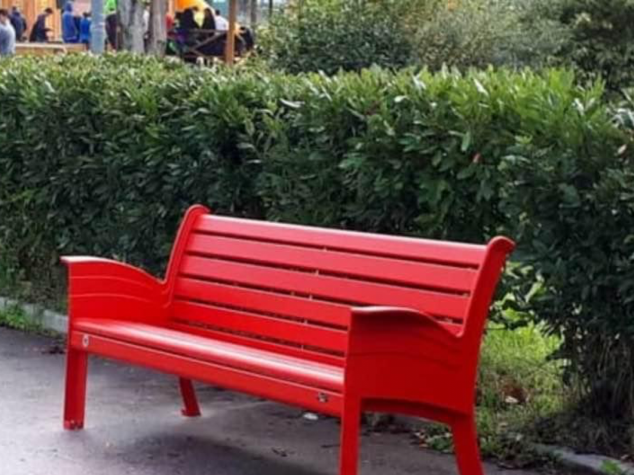 STOP VI.E.W: Stop alla Violenza sulle Donne Anziane