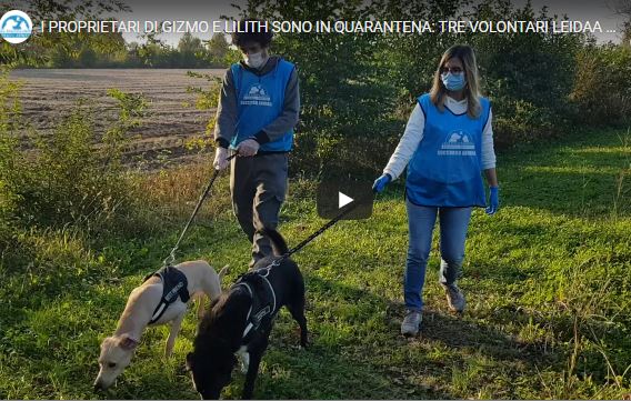 Virus e animali: 200 cuccioli presi in carico dai volontari perchè i padroni sono malati TRE STORIE DI SOLIDARIETA’ – VIDEO