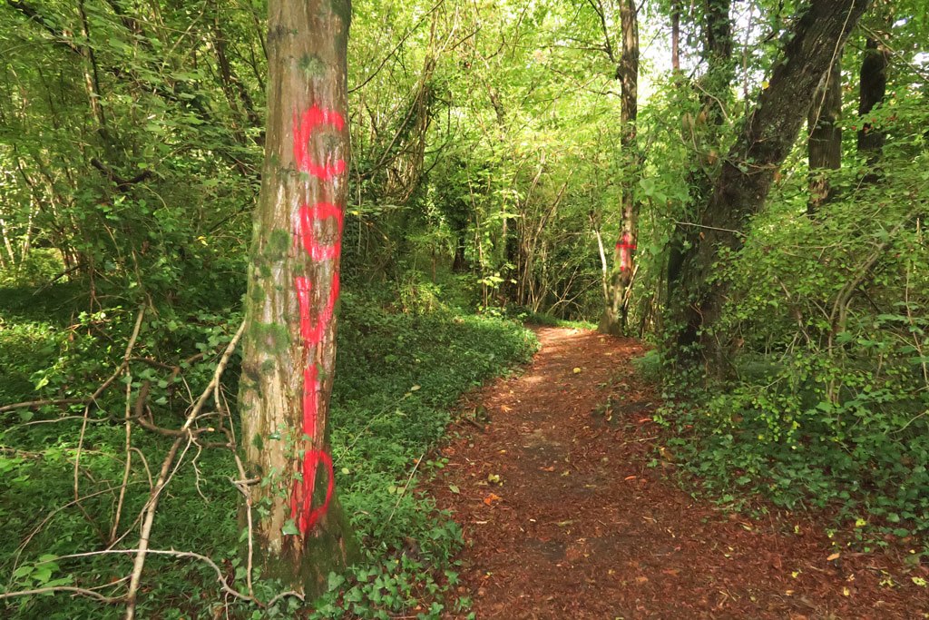 Vandalismi all’Adda, alberi e bacheche imbrattati di vernice rossa LE FOTO