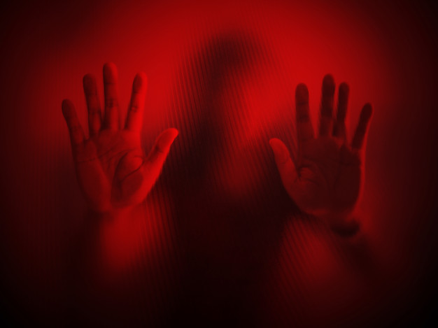 Sequestrata la sera di Natale e violentata: orrore nel Varesotto