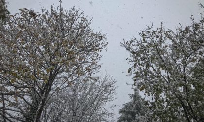 Fiocca fiocca: ecco foto e video dal territorio!