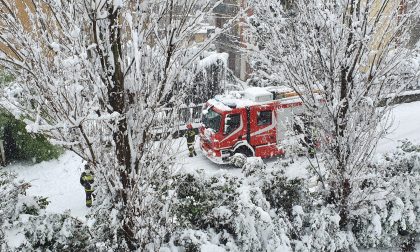 La neve è arrivata, grossi disagi: interventi dei Vigili del fuoco, traffico in tilt LE FOTO