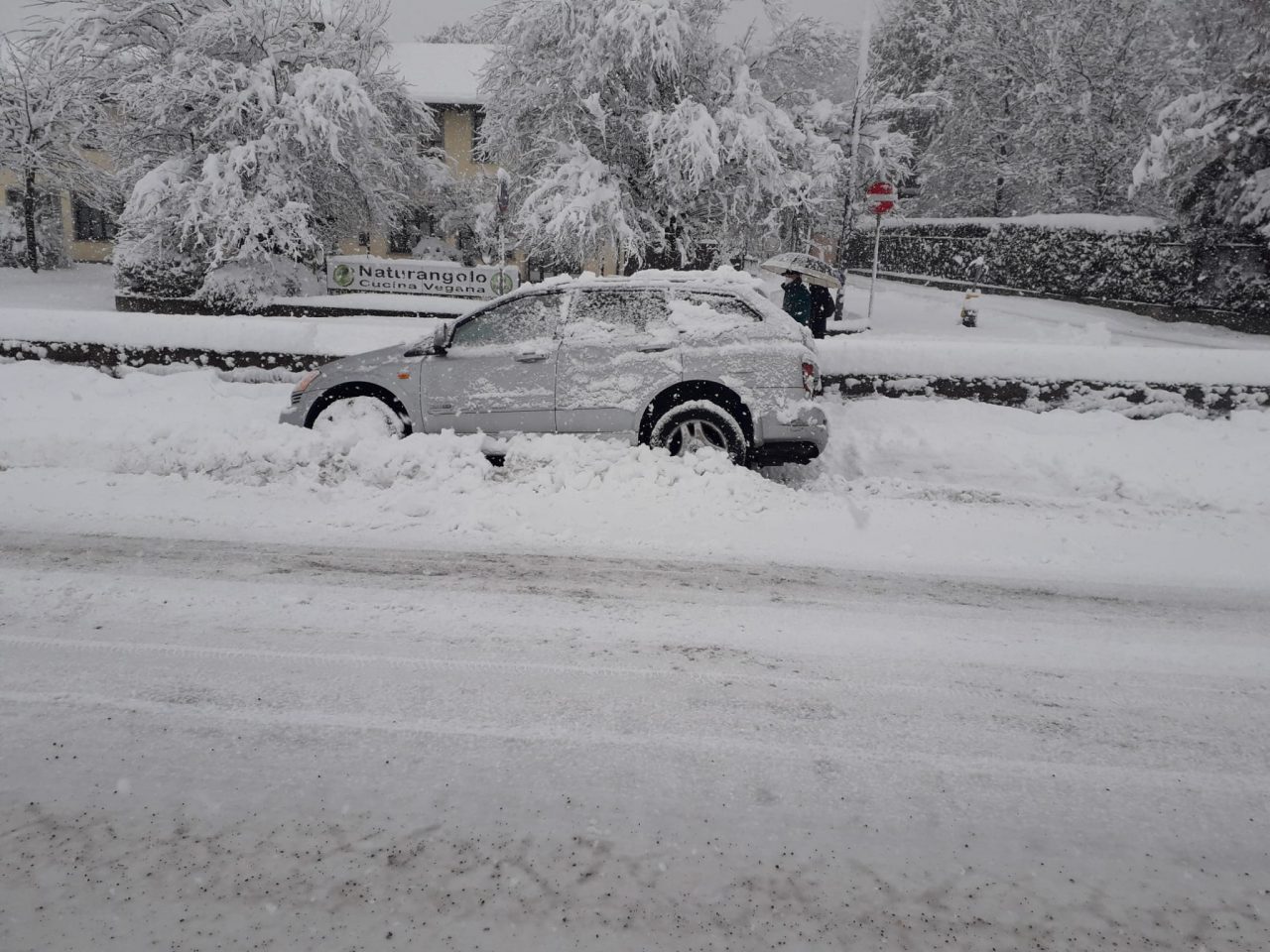 Auto nel fosso sulla Provinciale, spavento per una donna FOTO