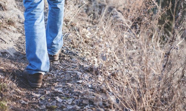 Forrest Gump comasco litiga con la moglie e fa 450 chilometri a piedi